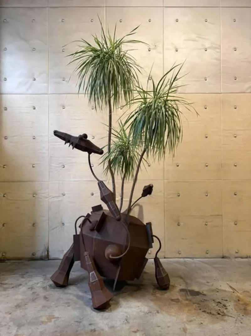 展示作品